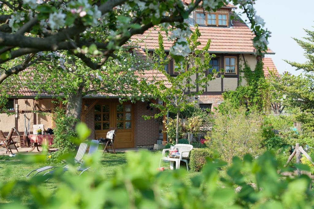 Familienferienhof Sell's Scheune Appartement Sundhausen